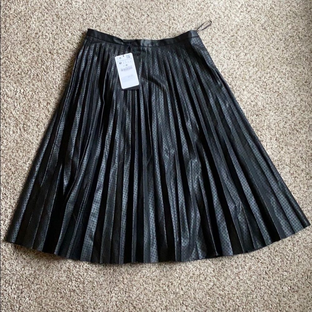 Zara Skirt